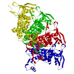 Image of CATH 5ngd