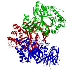 Image of CATH 5ngk