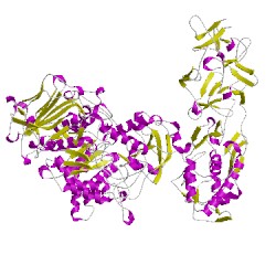 Image of CATH 5ngyB