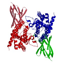 Image of CATH 5njg