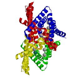 Image of CATH 5nkq