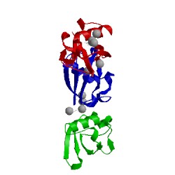 Image of CATH 5nlf