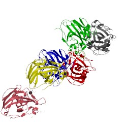 Image of CATH 5nlt