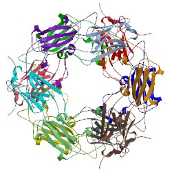 Image of CATH 5nms