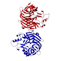 Image of CATH 5nop