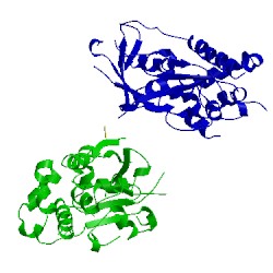 Image of CATH 5npv