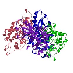 Image of CATH 5npw