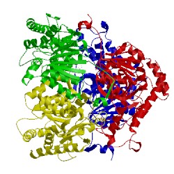 Image of CATH 5nqb