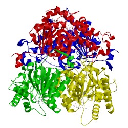 Image of CATH 5nqq