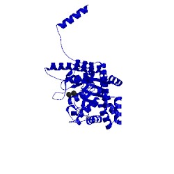 Image of CATH 5nrt