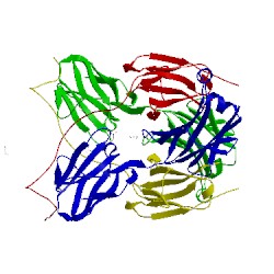 Image of CATH 5nst