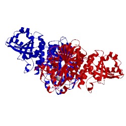 Image of CATH 5ntg