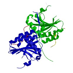 Image of CATH 5nvn