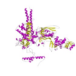 Image of CATH 5nwtC