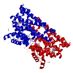 Image of CATH 5nx6