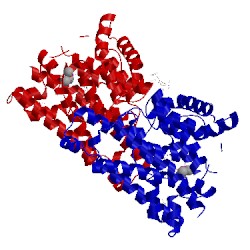 Image of CATH 5nx7