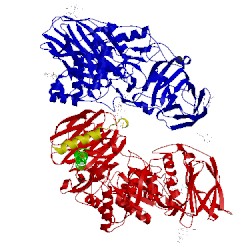 Image of CATH 5nxb