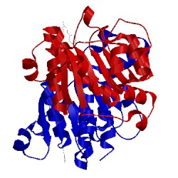 Image of CATH 5nzo
