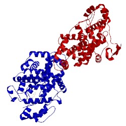 Image of CATH 5o1m