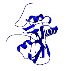 Image of CATH 5o1t