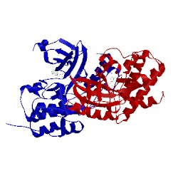 Image of CATH 5o2b