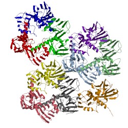 Image of CATH 5oac