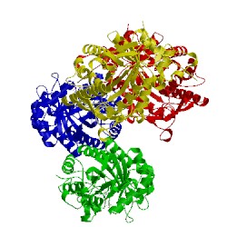 Image of CATH 5ocs
