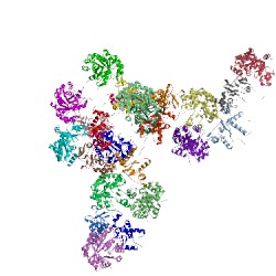 Image of CATH 5ocw