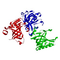 Image of CATH 5odk