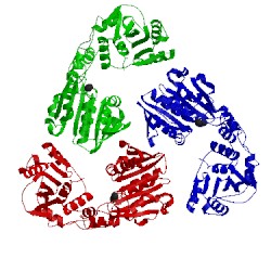 Image of CATH 5oe8