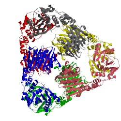 Image of CATH 5oeb