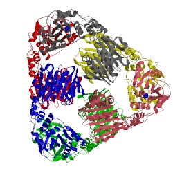 Image of CATH 5oee