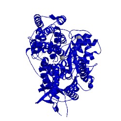 Image of CATH 5ogl