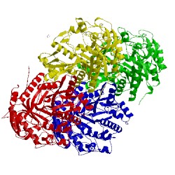 Image of CATH 5okb