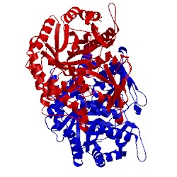 Image of CATH 5okr