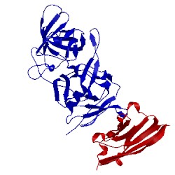 Image of CATH 5omn