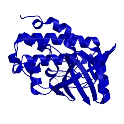 Image of CATH 5oop