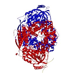 Image of CATH 5ooq