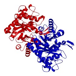 Image of CATH 5oq2