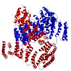 Image of CATH 5oqr