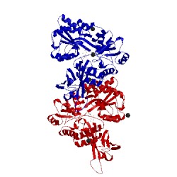 Image of CATH 5osq