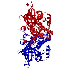 Image of CATH 5oy4