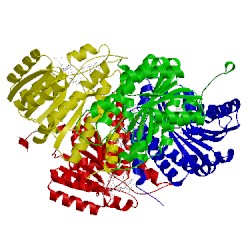 Image of CATH 5pgv