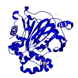 Image of CATH 5ph2