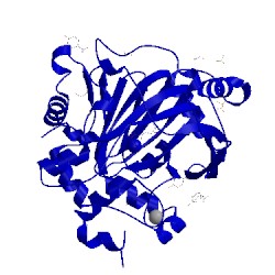 Image of CATH 5phd
