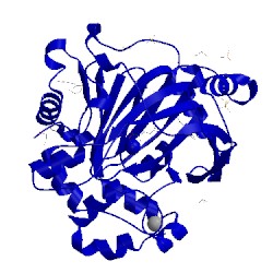 Image of CATH 5phf