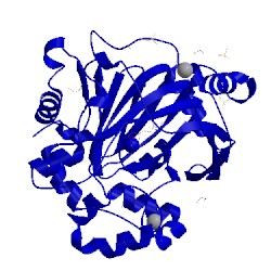 Image of CATH 5pli