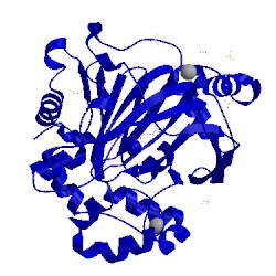 Image of CATH 5pmc