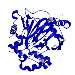 Image of CATH 5pmd