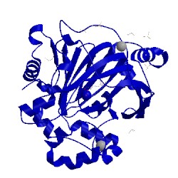 Image of CATH 5pmh